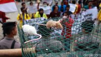 Bawa Tikus, Mahasiswa Tolak UU KPK