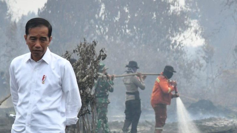 Cek Karhutla di Merbau Riau, Jokowi: Jika Dilihat Ini Terorganisasi Cek Karhutla di Merbau Riau, Jokowi: Jika Dilihat Ini Terorganisasi