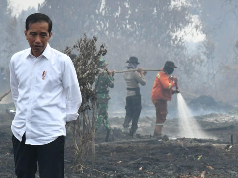 45 Hari Setelah Ancaman Jokowi Soal Karhutla