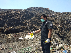 Puluhan Ekor Sapi Dilaporkan Mati Akibat Kebakaran TPA Antang Makassar