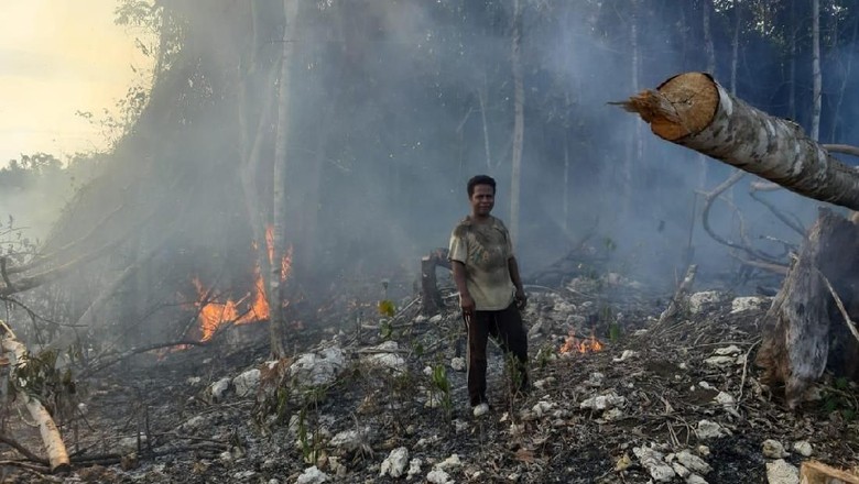 Polisi Jerat 9 Tersangka terkait Pembakaran 29 Ha Lahan di Berau Kaltim