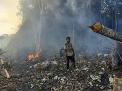 Polri Tetapkan 136 Orang dan 2 Korporasi Jadi Tersangka Karhutla