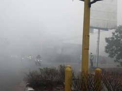 Hutan Indonesia Berpotensi Tinggi Terbakar Hingga Akhir September