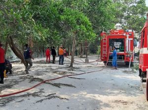 Pertamina EP Bantu Tangani Karhutla di Riau dan Kalimantan Utara