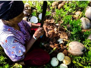 Mengupas tempurung kelapa.