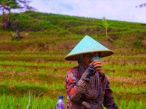 Petani pahlawan tanpa jasa