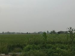 Karhulta Landa Sumsel-Riau, Kabut Asap Muncul di Deli Serdang