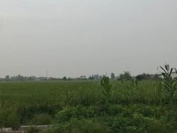 Karhulta Landa Sumsel-Riau, Kabut Asap Muncul di Deli Serdang