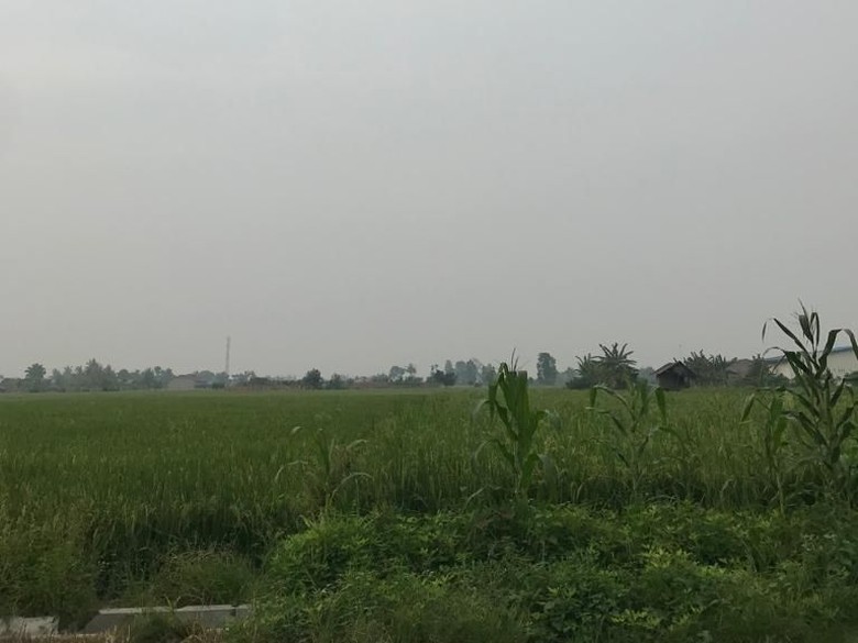 Karhulta Landa Sumsel-Riau, Kabut Asap Muncul di Deli Serdang