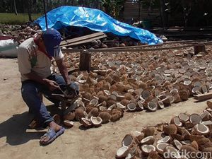 Kisah Inspiratif Pria Tunanetra di Polman yang Jadi Pengupas Buah Kelapa Kisah Inspiratif Pria Tunanetra di Polman yang Jadi Pengupas Buah Kelapa