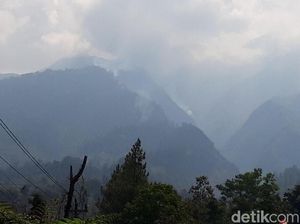Hutan di Merbabu Terus Berkobar, Kenapa Tak Dilakukan Water Bombing?