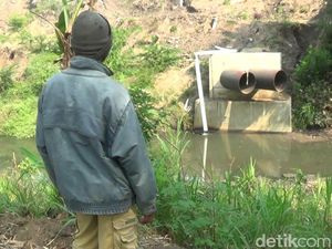 Sungai Lemon di Blitar Diduga Tercemar, Banyak Ikan Mabuk Mengambang