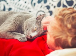 So Sweet! Pengantin Pria Jadikan Kucingnya Best Man di Hari Pernikahan