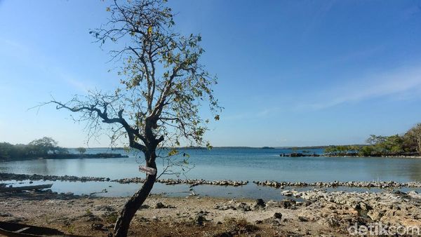 Tahu Nggak, Laut Mati Juga Ada di Indonesia Lho