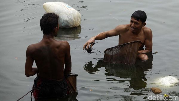 Mengais Rezeki dari Mahluk Kecil di Sungai Kotor Jakarta