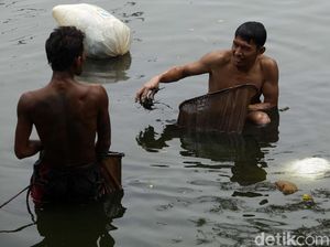 Mengais Rezeki dari Mahluk Kecil di Sungai Kotor Jakarta Mengais Rezeki dari Mahluk Kecil di Sungai Kotor Jakarta