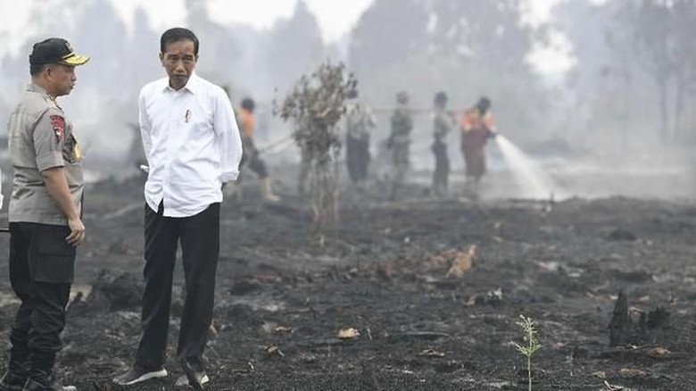 Karhutla Indonesia: Berimbas ke Tetangga, Disorot Media Asing
