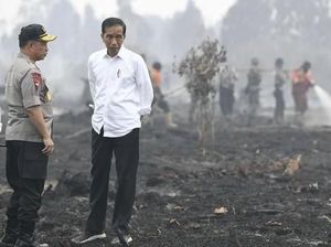 PDIP soal Sepatu Kotor Jokowi: Fadli Ubah Puisi Jadi Opini