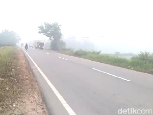 Kabut Asap Masih Selimuti Tanjung Jabung Timur Jambi