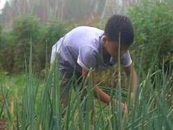 Kisah Bocah 11 Tahun Jual Sayur Sebelum Sekolah untuk Biaya Pengobatan Adik
