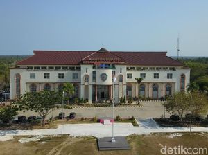 Listrik di Calon Ibu Kota Baru RI Masih Byar Pet Nggak Ya? Listrik di Calon Ibu Kota Baru RI Masih Byar Pet Nggak Ya?