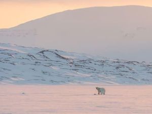 Perubahan Iklim Jadi Biang Kerok, Kiamat Bumi Diperkirakan Maju 10 Tahun