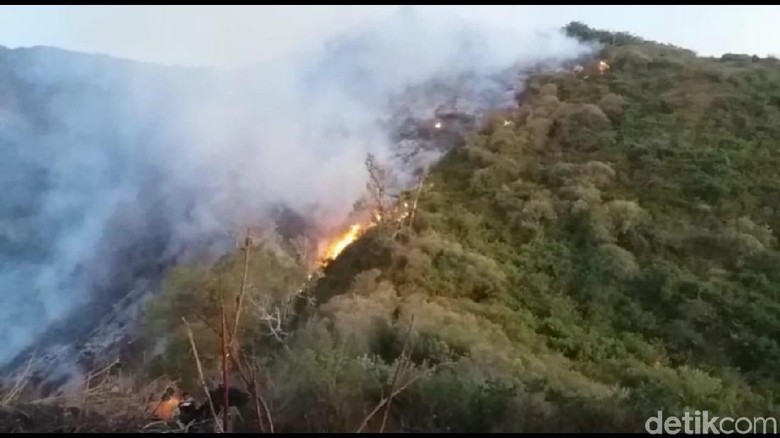 Hutan Lereng Gunung Slamet di Tegal dan Brebes Terbakar