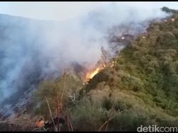 Hutan Lereng Gunung Slamet di Tegal dan Brebes Terbakar