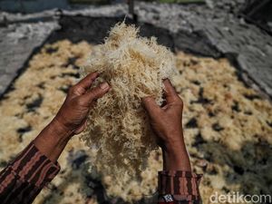 Top! Produk Desa Ini Diekspor ke China Hingga AS Rp 6,5 M