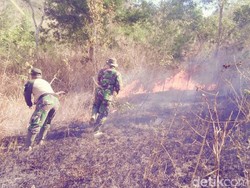 Hutan 2,5 Hektare di Gunung Orak-arik Trenggalek Terbakar