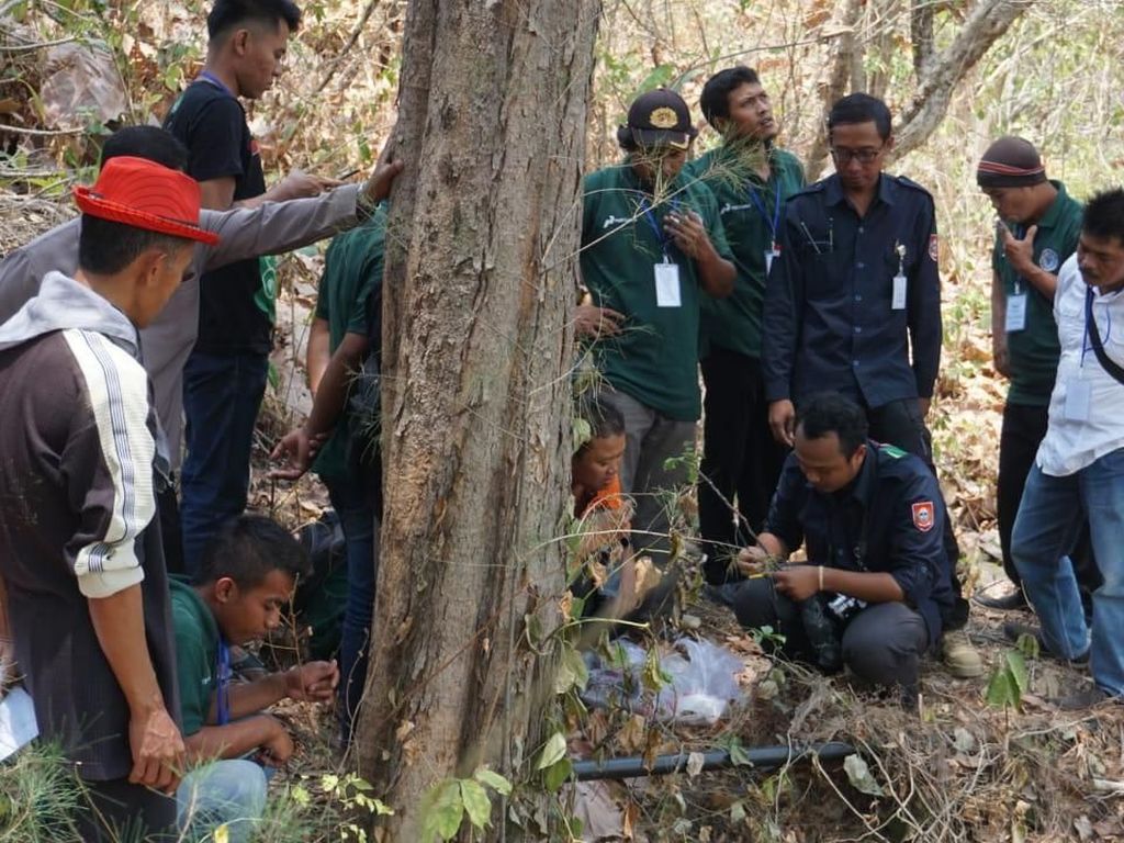 Pertamina Latih Warga Lestarikan Tanaman Obat Pertamina Latih Warga Lestarikan Tanaman Obat