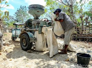 Unik! Ada Mesin Giling Padi Keliling di Pulau Rote Unik! Ada Mesin Giling Padi Keliling di Pulau Rote