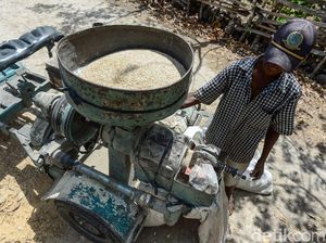 11 Ribu Penggilingan Padi Gulung Tikar, Ada Apa?