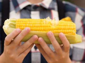 Tak Usah Lagi Dipercaya, 5 Mitos Jagung Manis Ini Keliru