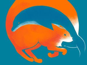 Tes Kepribadian: Kalau Lihat Lumba-Lumba, Berarti Kamu Spesial