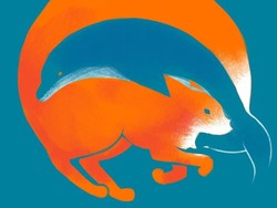 Tes Kepribadian: Kalau Lihat Lumba-Lumba, Berarti Kamu Spesial