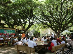 Banyuwangi Gelar Bursa Inovasi Desa 2019 di Wisata Hutan Djawatan