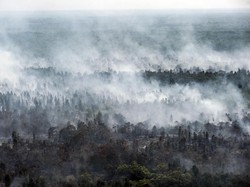 Titik Api Karhutla Makin Banyak, Udara Kalbar-Kalteng Berbahaya