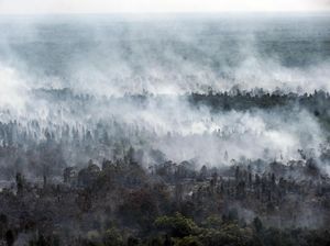 Titik Api Karhutla Makin Banyak, Udara Kalbar-Kalteng Berbahaya Titik Api Karhutla Makin Banyak, Udara Kalbar-Kalteng Berbahaya