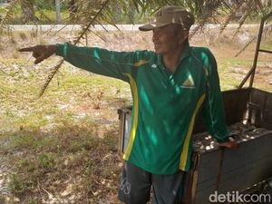 Kisah Ngeri Transmigran di Ibu Kota Baru RI yang Kena Malaria Kisah Ngeri Transmigran di Ibu Kota Baru RI yang Kena Malaria