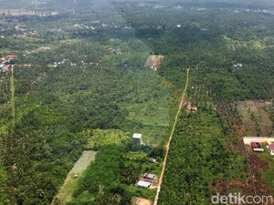 Mengintip Konsep Transportasi di Ibu Kota Baru Mengintip Konsep Transportasi di Ibu Kota Baru