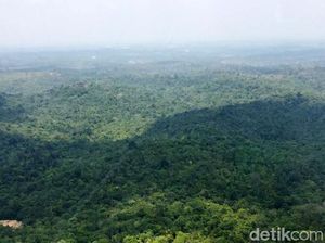 Jaminan Pemerintah soal Nasib Warga dan Hutan Kaltim Bila Ibu Kota Pindah Jaminan Pemerintah soal Nasib Warga dan Hutan Kaltim Bila Ibu Kota Pindah