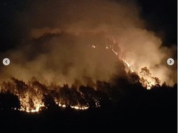 Semeru Kebakaran, Puluhan Pendaki Dievakuasi