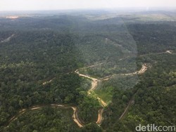 Bappenas Sudah Minta KLHK Proses Lahan Konsesi Tanoto