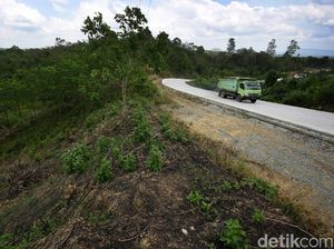 Potret Jalan Mulus Kabupaten Penajam Potret Jalan Mulus Kabupaten Penajam