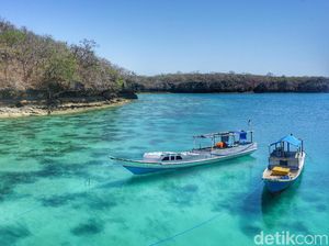Rote (Mungkin) adalah Bali Baru