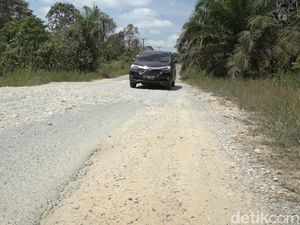 Akses Jalan Pendukung Ibu Kota Nusantara Belum Mulus 100% Akses Jalan Pendukung Ibu Kota Nusantara Belum Mulus 100%