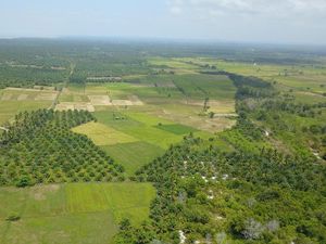 Geliat Ekonomi di Ibu Kota Baru