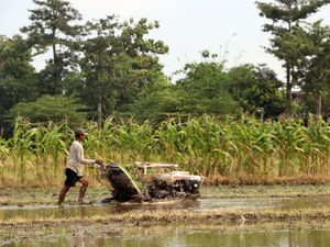 Perani dan teknologi