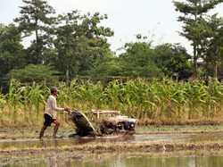 Perani dan teknologi